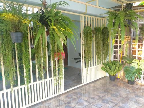 Talat Bang Khen Bed & Breakfast | 297 Nature Residence