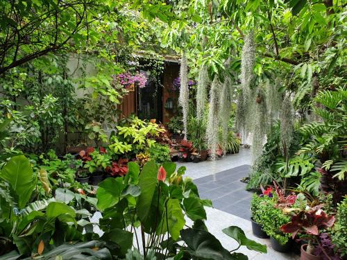 Talat Bang Khen House | 37 Nature House