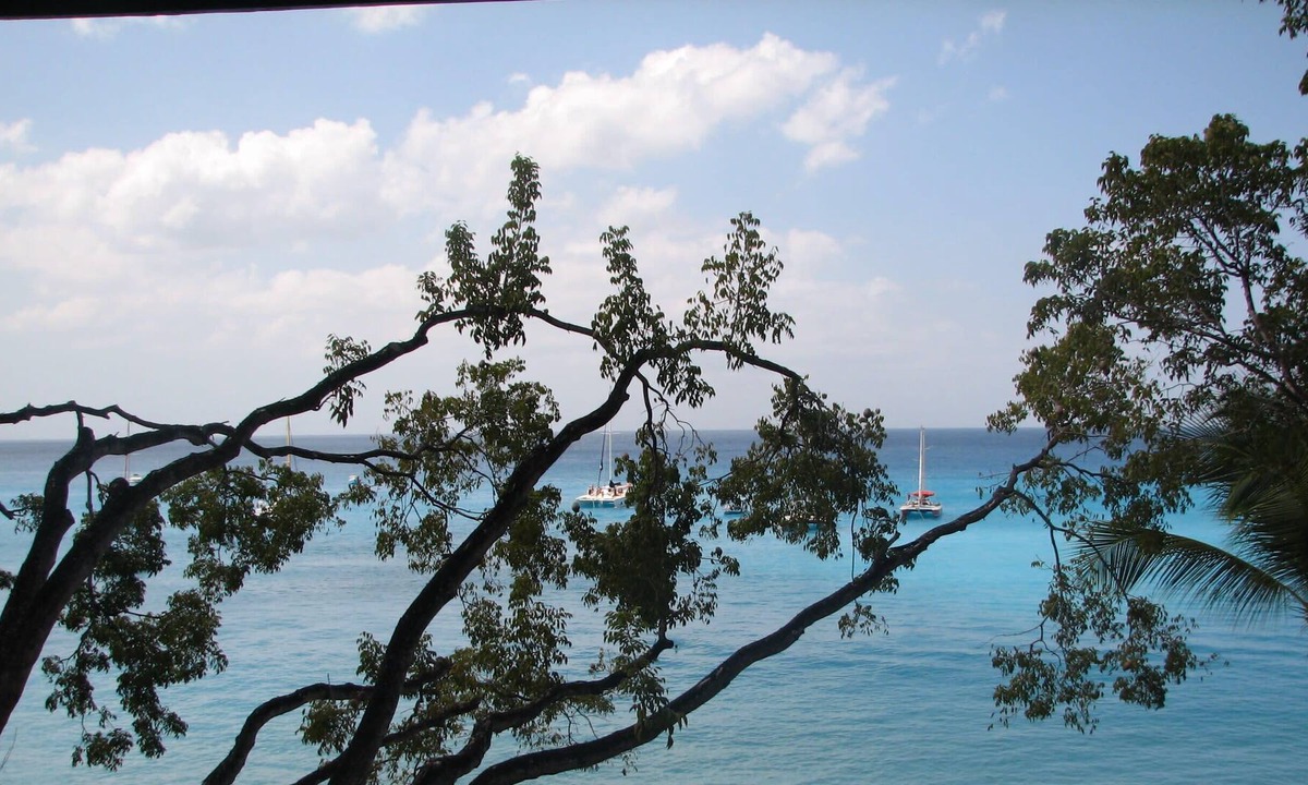 Old Trees Bay Villa | A Luxurious Three-Bedroom, Three Bathroom Apartment