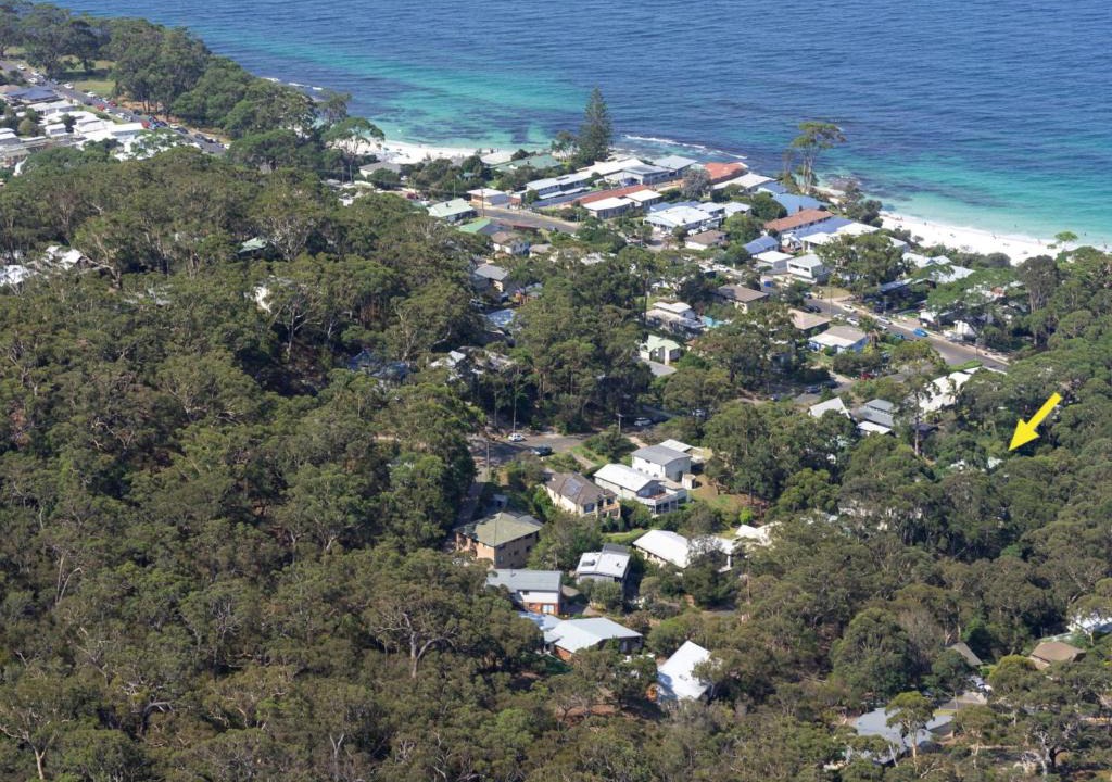 Hyams Beach House | Black Wattle at Hyams Beach