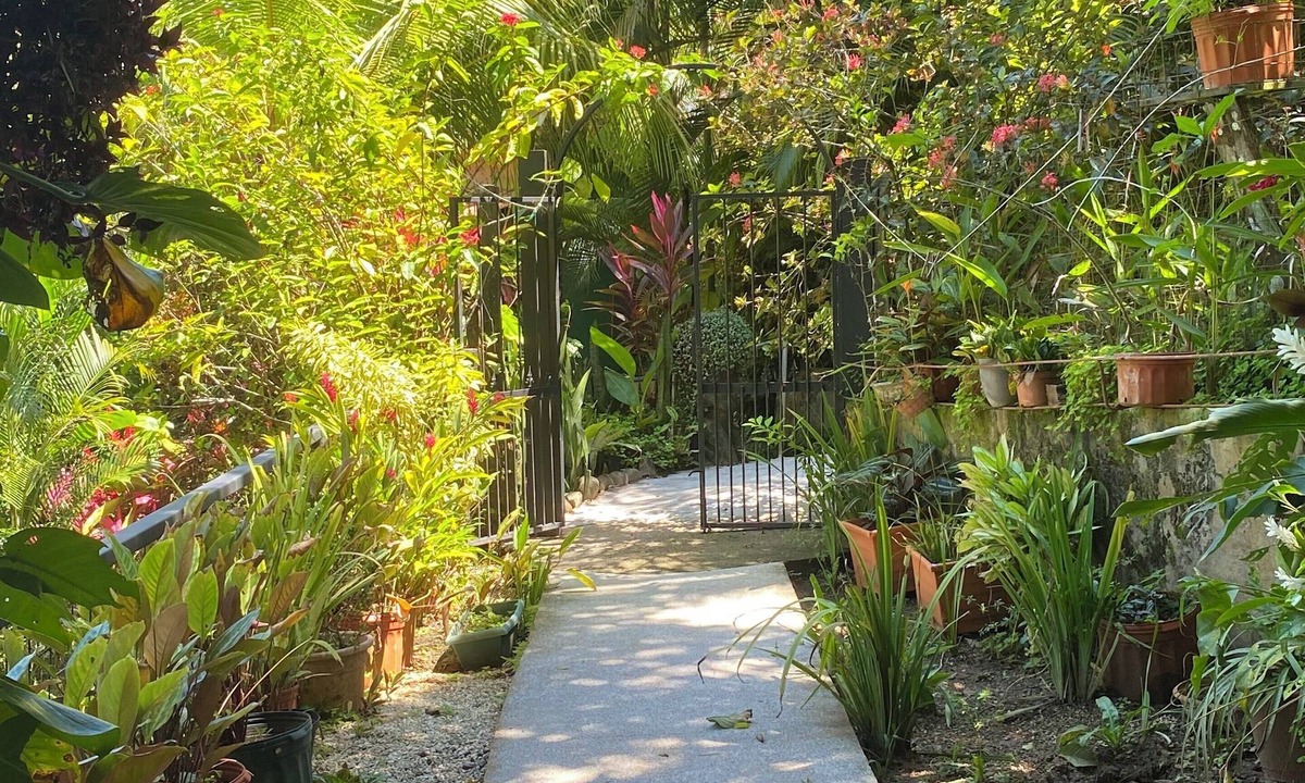 Montezuma House | Carpenter. A paradise in the middle of nature.
