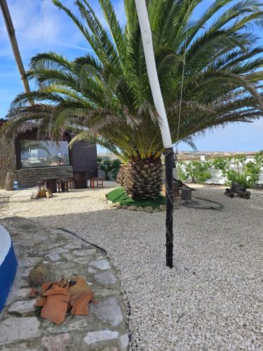 Sao Pedro da Cadeira Apartment | Casa da Moleirinha