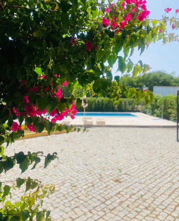 Monforte Villa | Casa das Clarinhas