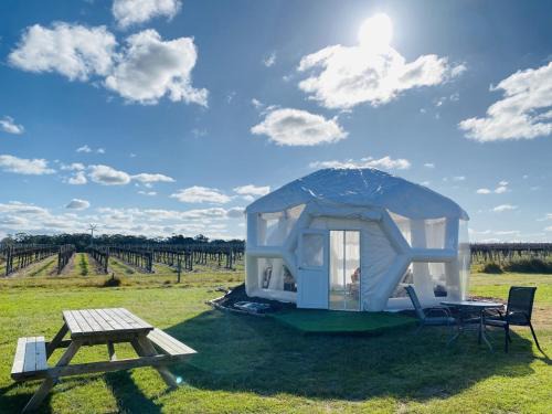 Comaum Other | Coonawarra Hampton Bubble 1