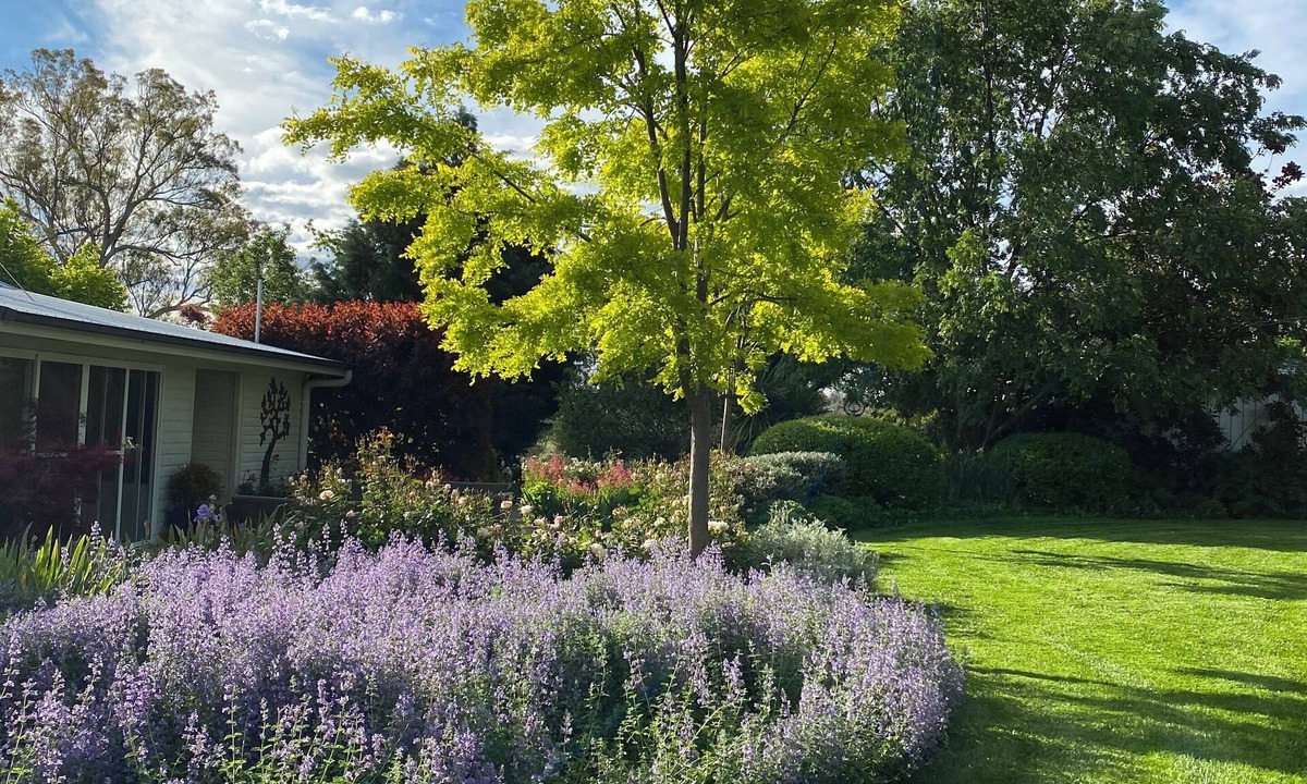 Molong House | Country Cottage Farm Stay
