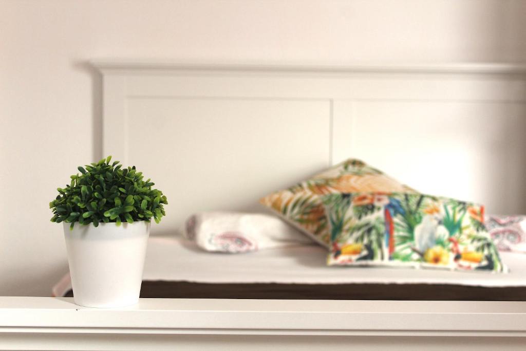 Lagos City Center Apartment | Cubo