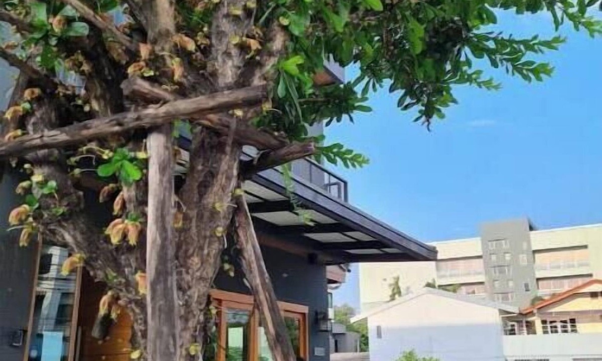 Thung Song Hong Apartment | Don Muang Lantern Suites with Maid Service