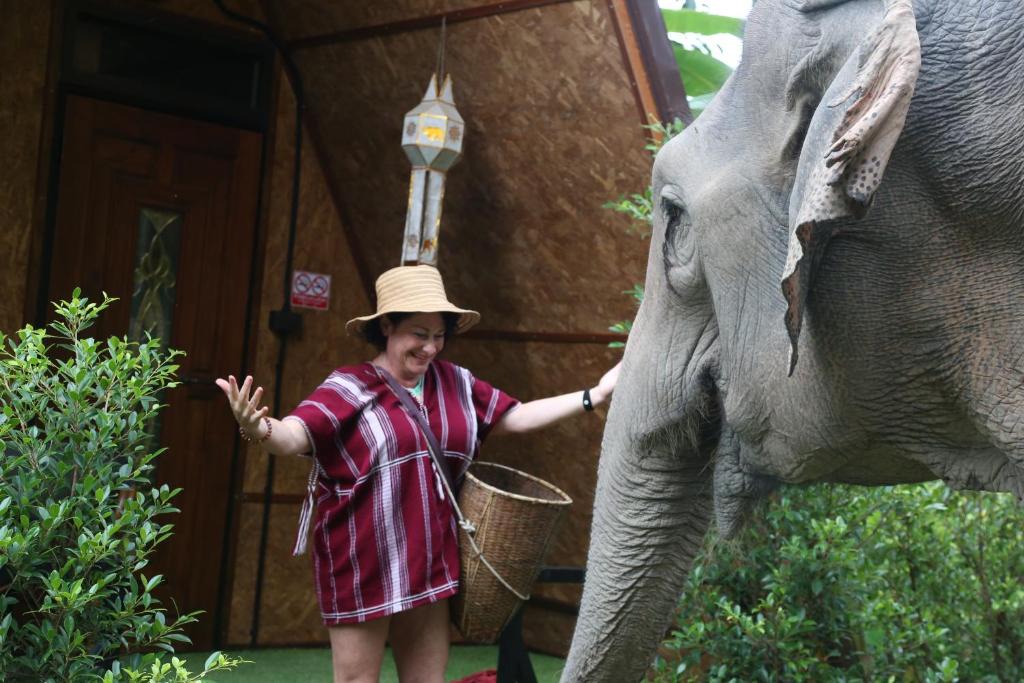 Samoeng House | Hidden Gem Elephant