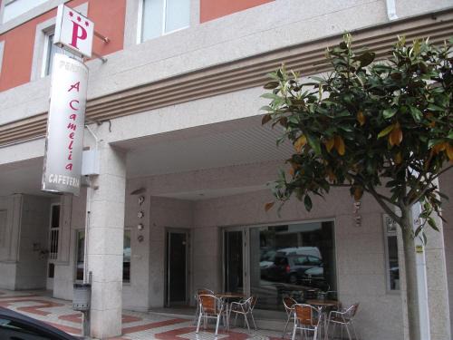 Moana Hostel | Hostal A Camelia