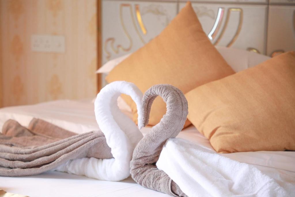 Thoddoo Hotel | Jeym Lodge