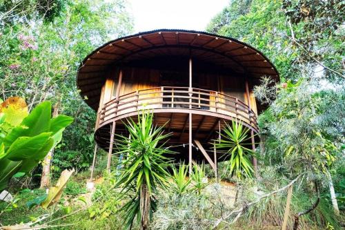Baru House | Junglebungalow