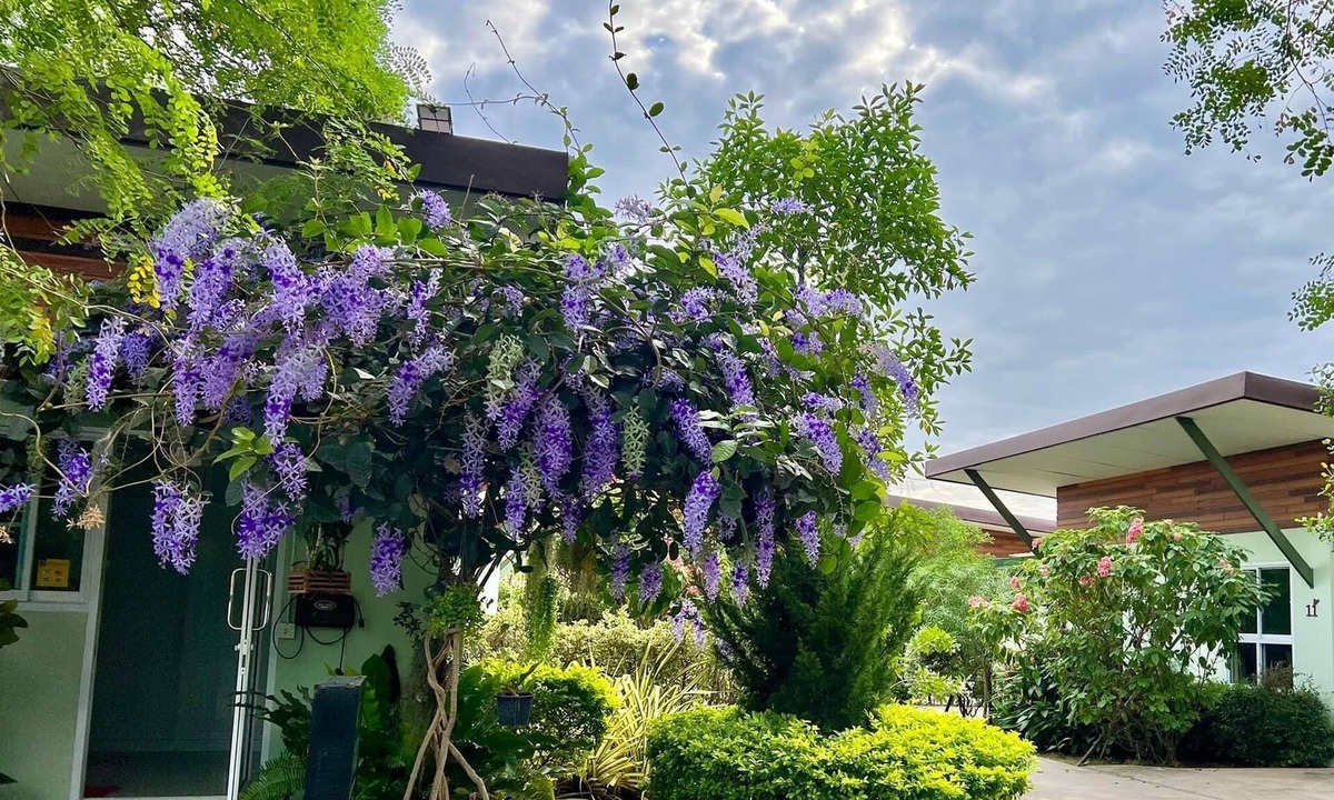 Kaeng Khoi Hotel | Me and Tree Villa