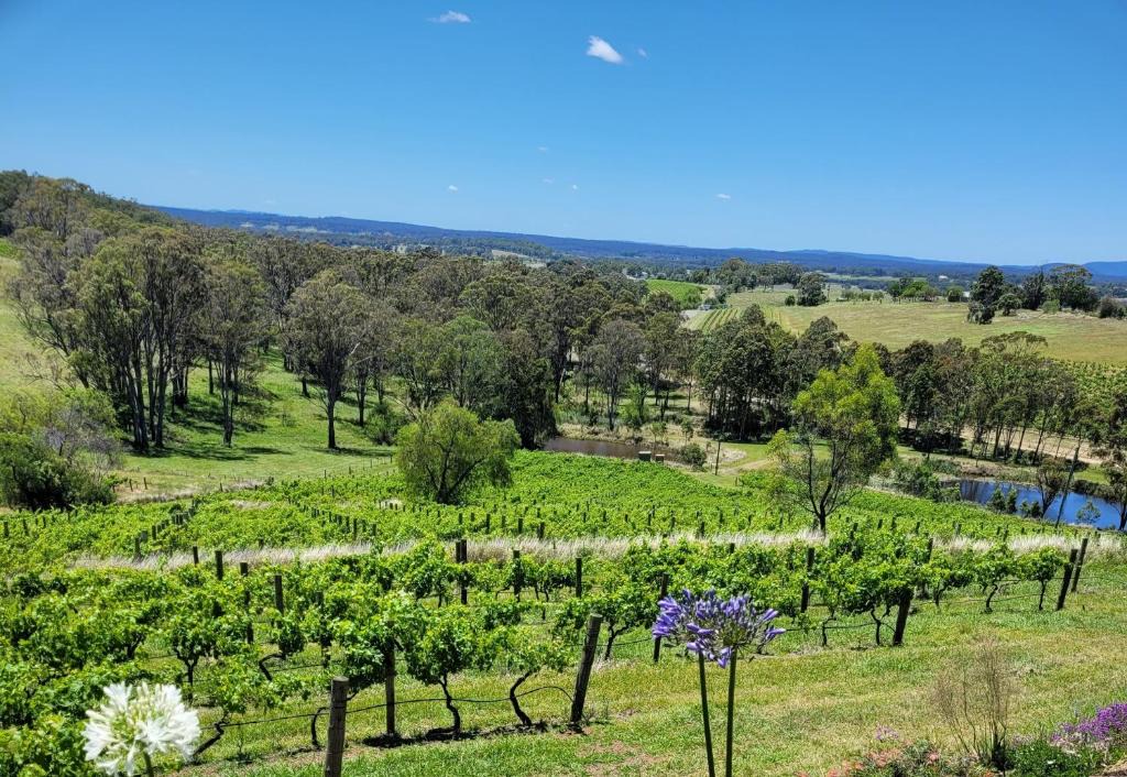 Pokolbin House | Mistress Block Vineyard