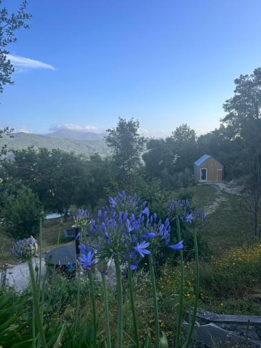 Seia House | Monkey Tiny Barnhouse with amazing views at ZevariClub!