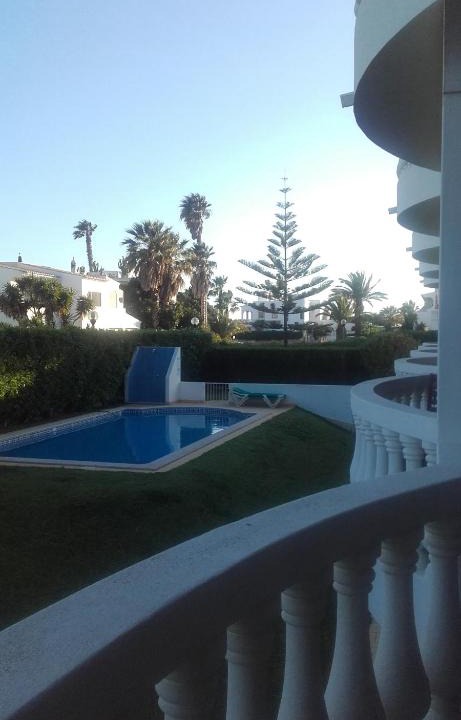 Luz Apartment | Palm Trees
