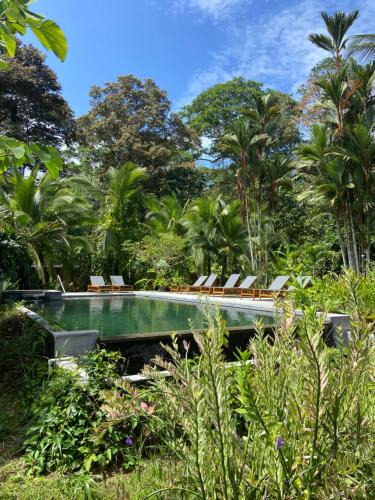 Cahuita Cabin | Passion Fruit Lodge