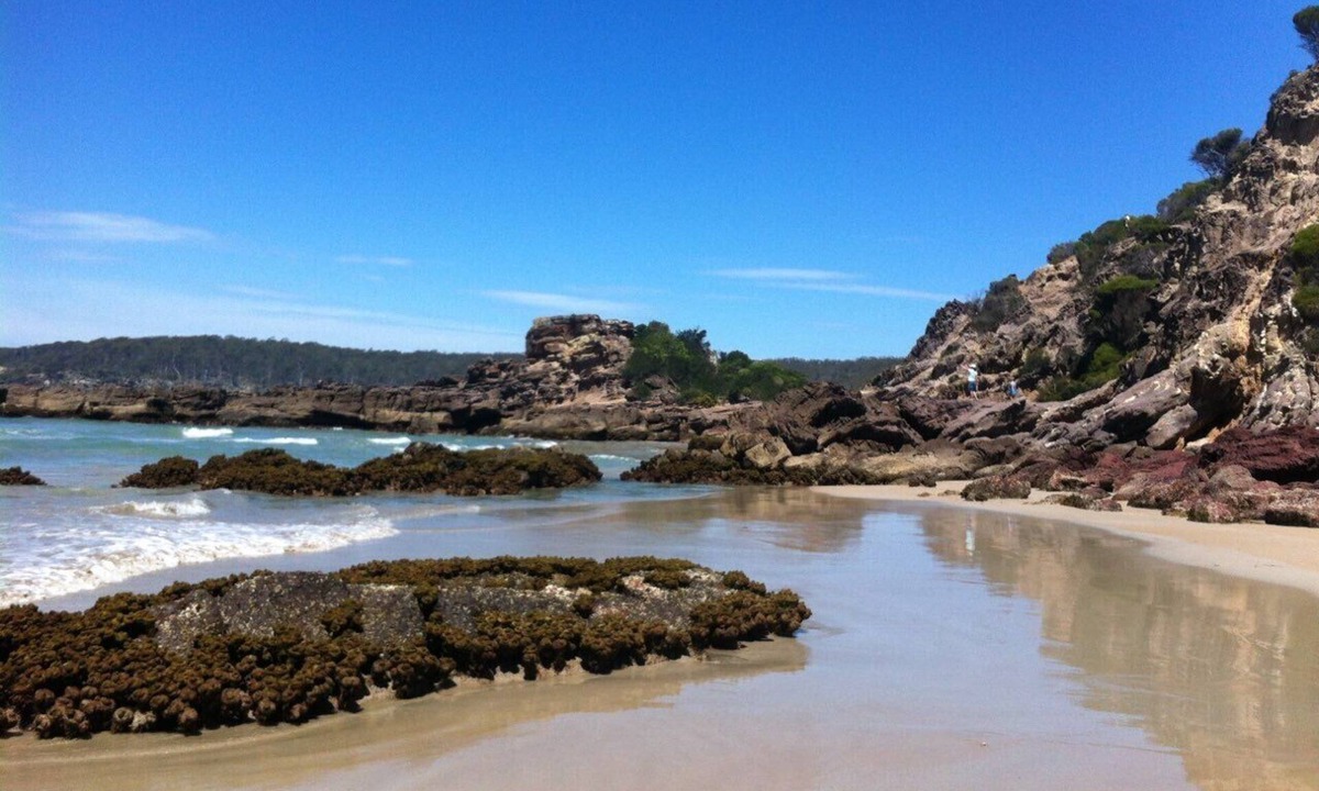 Broadwater House | Pet-friendly, five tranquil acres near Pambula Beach overlooking the Lake.