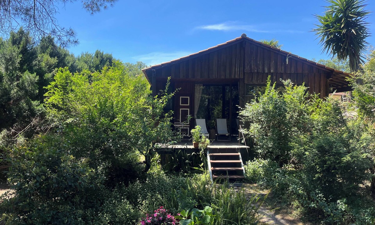 Valongo Ski Chalet | Pine Lodge - luxurious bungalow in nature