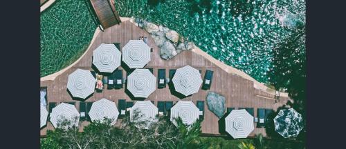 Port Douglas Apartment | Private Hotel Studio Apartment - Full Kitchen