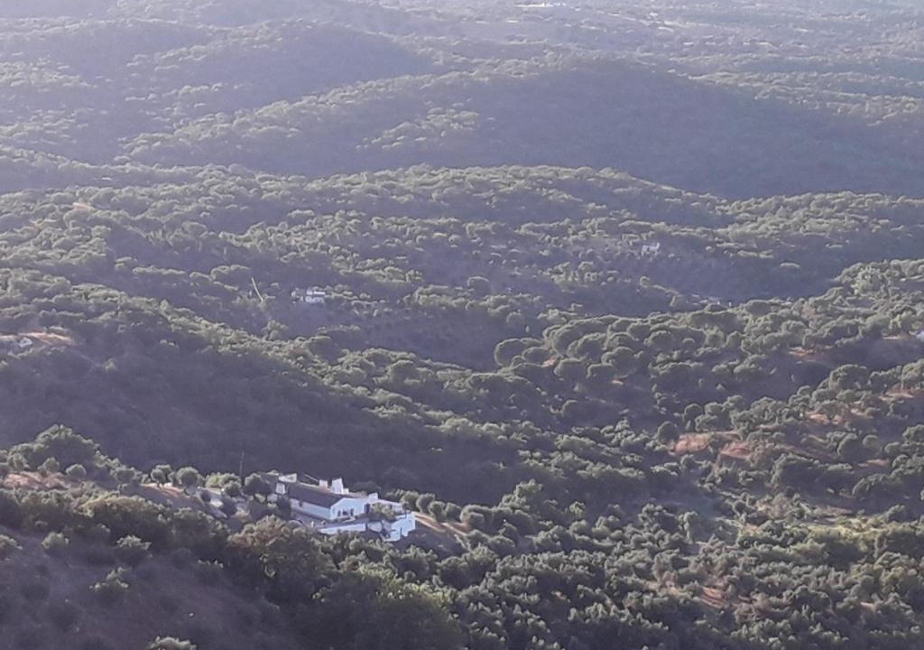 Estremoz House | Quinta de Evoramonte