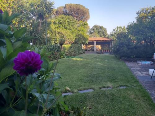 Melres House | Quinta Drº Amarante