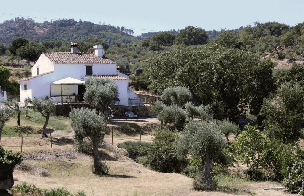 Santa Maria de Marvao House | Refugio da Maceira