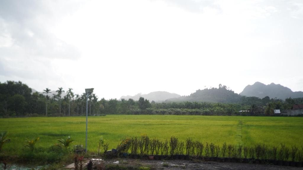 Plai Phraya House | Rice Field Bungalows