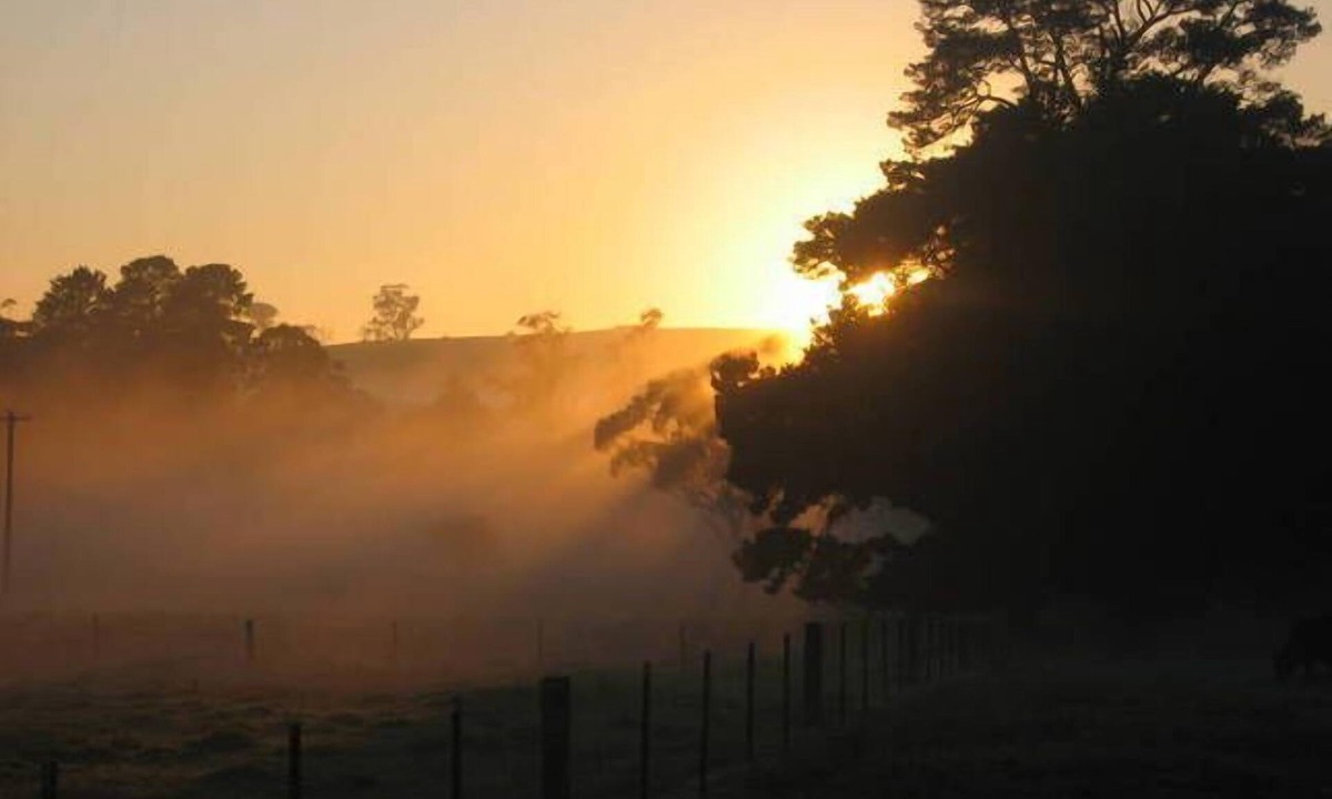Bundanoon Apartment | SECLUDED, QUIET, PRIVATE "FERNDALE" B&B Farm Stay 5mins to BUNDANOON or EXETER