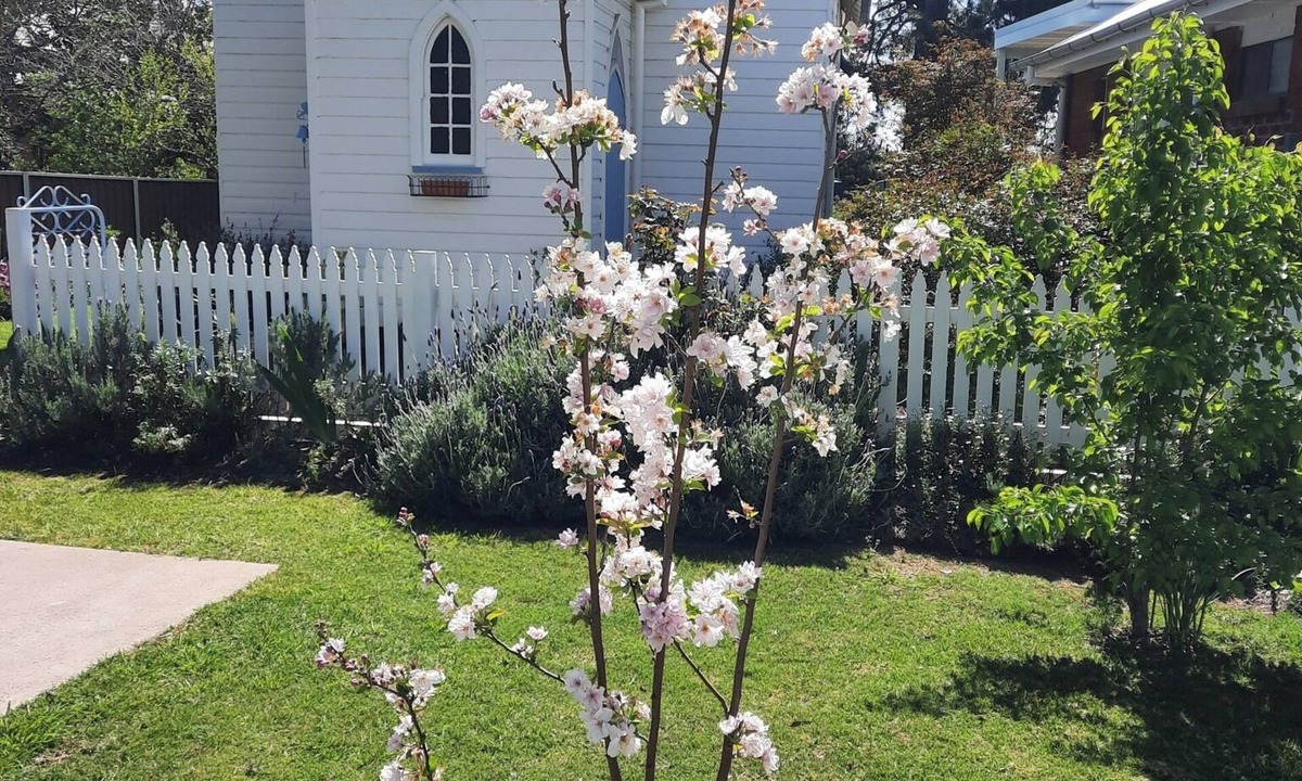 Central Mudgee House | Self Contained Restored Heritage c. 1914 Church Easy walk to Mudgee CBD