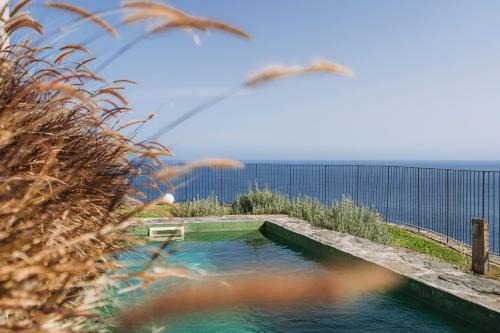 Calheta Hotel | Socalco Nature Calheta