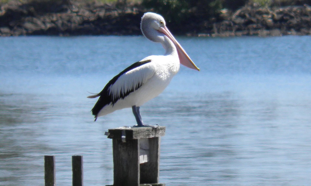 Empire Vale House | South Ballina Riverside Retreat