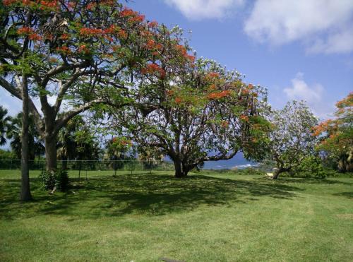West Coast Apartment | Spacious Central Countryside Apartment Saint George Barbados