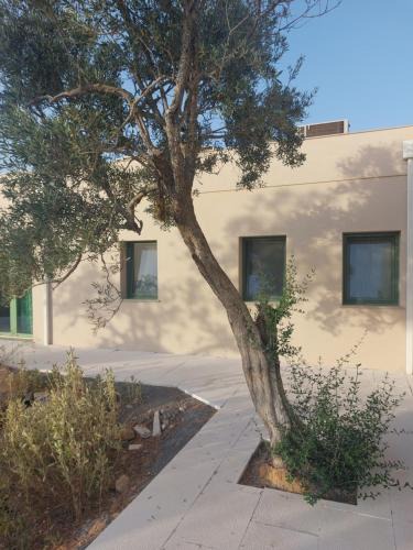 Olhao House | Spot Local