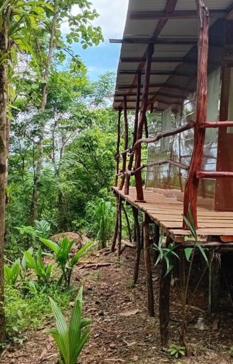 Canton Parrita House | The Forest Cabin
