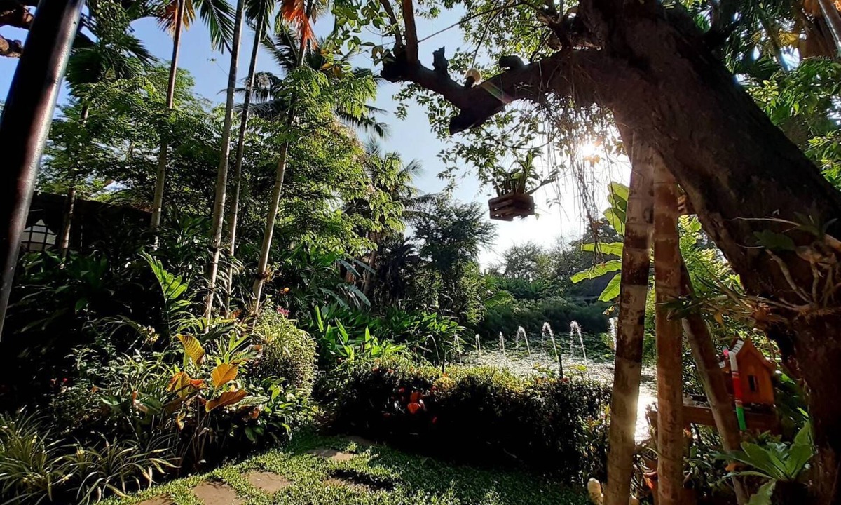 Thapae Resort | Viang Thapae Resort