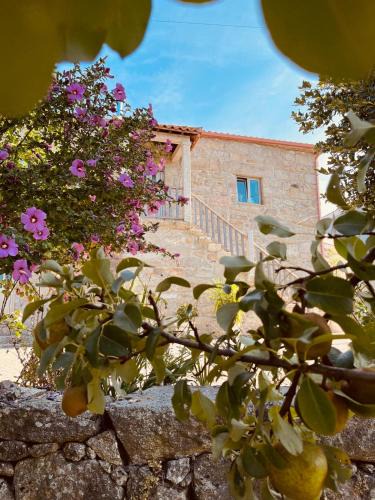 Cabril House | Vila Adelaide