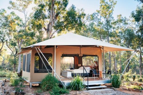 Upper Dawson Other | Wallaroo Outback Retreat - Glamping Tents Carnarvon Gorge
