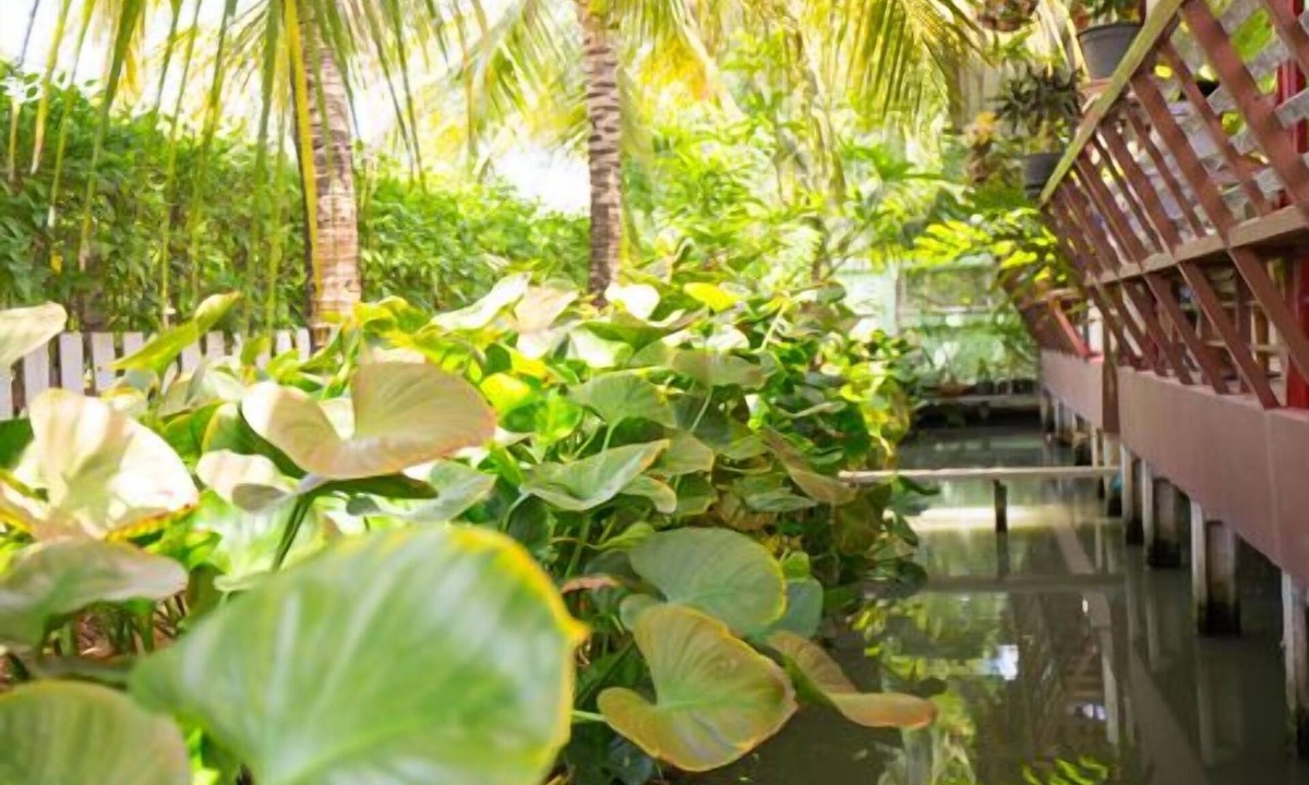 Amphawa Hotel | Warakorn Baansuan - Amphawa