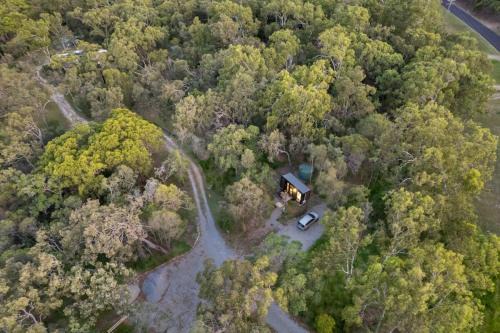 Agnes Water House | Wildlife Haven by Tiny Away