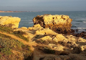 Balaia Gardens