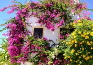 Casa Portuguesa
