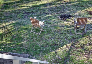 Snowgums 18 - Dinner Plain