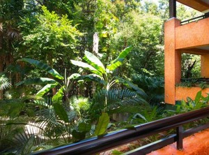 Iberostar Tucan | Playacar Zona Hotelera