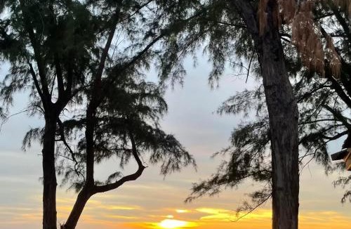 Songkhla House | ที่พักสงขลา Homy garden Songkhla