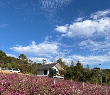 Huai Makhuea Som House | สวนไร่รุ่งอรุณ Suan Rai Rungarun