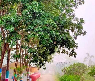 K. Phu Pieng Resort | ฮักฮิมเกี๋ยน รีสอร์ท น่าน Hug Him Kien