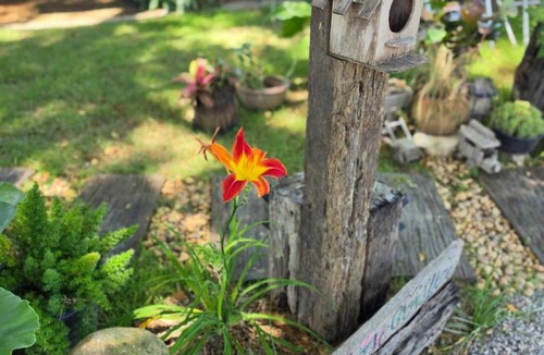 Khao Yoi Resort | เขายัอยวาเล่ย์