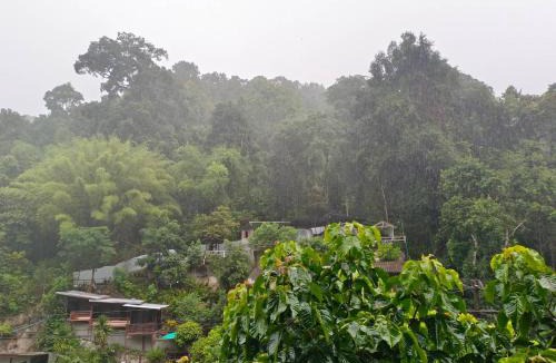 Mae On House | โฮมสเตย์ พ่อหลวง แม่หลวง บ้านแม่ลาย
