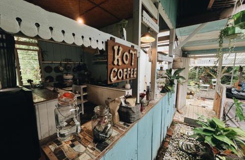 Rantepao Bed & Breakfast | 24 Traphouse