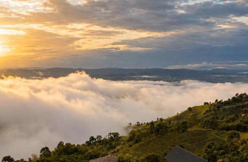 Chiang Rai Hotel | Above The Clouds - Chiang Rai